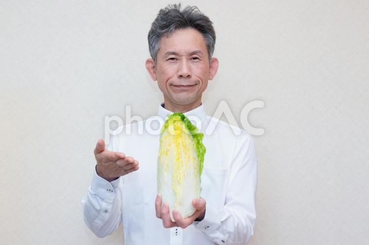 白菜と中年男性5 白菜,はくさい,野菜の写真素材