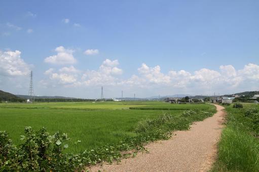 真夏の廃線跡、兵庫県三木市 真夏の廃線跡、兵庫県三木市の写真