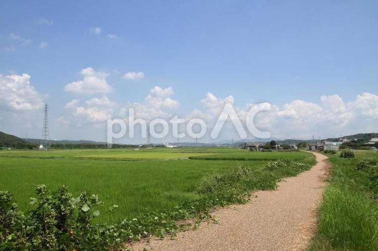真夏の廃線跡、兵庫県三木市 三木鉄道,別所ゆめ街道,廃線の写真素材