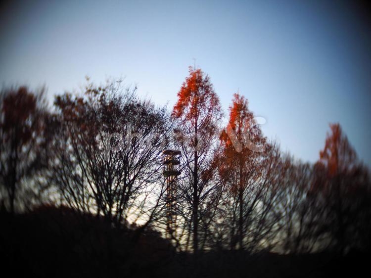 鉄塔がある風景 鉄塔,送電線,電線の写真素材