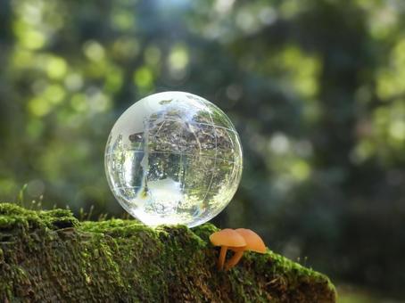 エコイメージ-苔とキノコとガラスの地球儀 エコ,環境,地球儀の写真素材