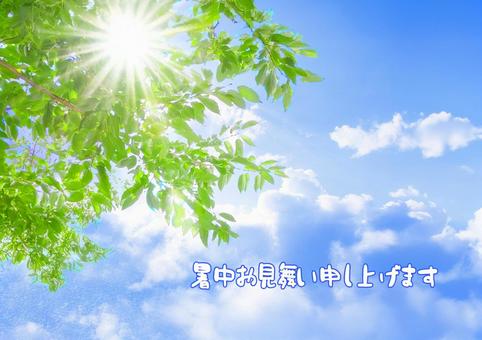 暑中お見舞い1 暑中お見舞い1 暑中お見舞い,夏のご挨拶,季節の挨拶の写真素材