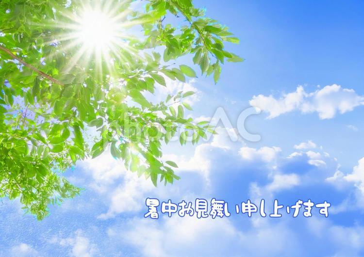 暑中お見舞い１ 暑中お見舞い,夏のご挨拶,季節の挨拶の写真素材