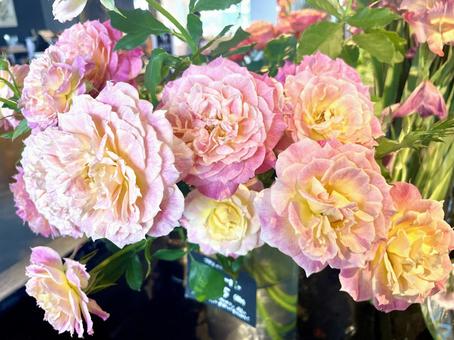 美しいバラの花 美しいバラの花 薔薇,綺麗,花の写真素材