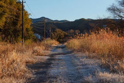 霜 獣道,遊歩道,砂利道の写真素材