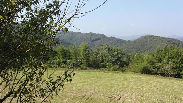 10月 稲刈り後の田んぼ 4 10月 稲刈り後の田んぼ 4の写真