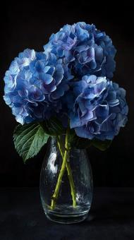 室内を飾る美しいアジサイ 室内を飾る美しいアジサイの写真