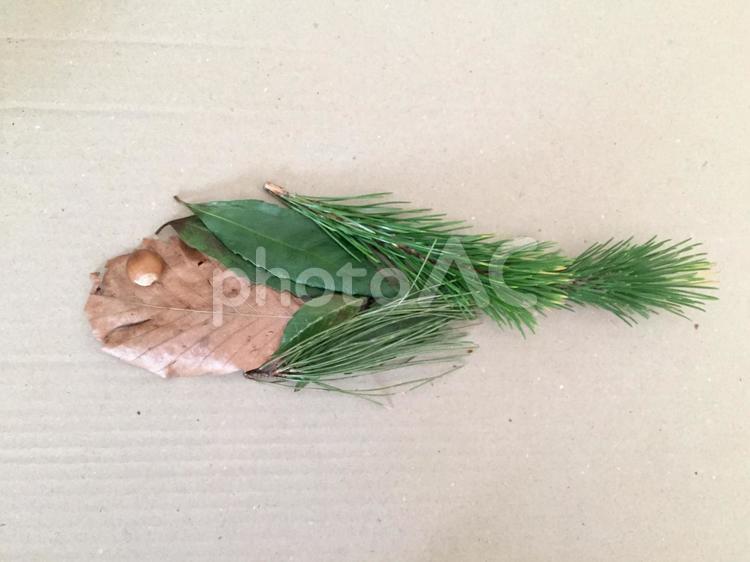 素材(木の実 木の葉 魚) 落ち葉,木の葉,木の実の写真素材