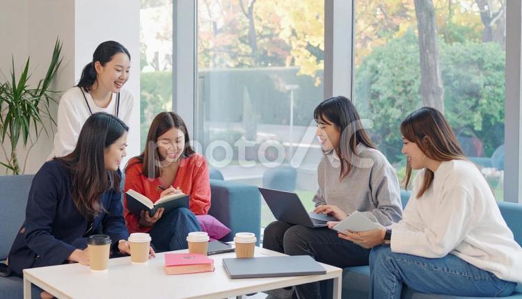 キャンパスライフを楽しむ大学生 大学生,大学,キャンパスライフの写真素材