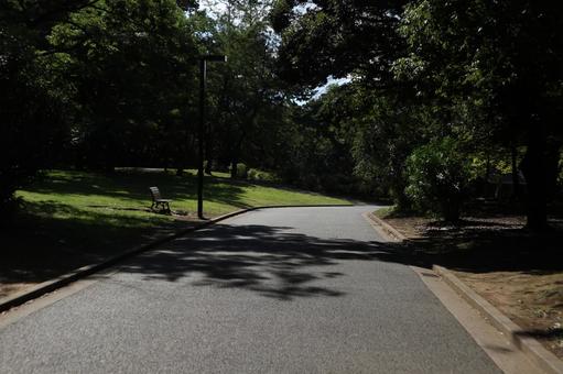 代々木公園 代々木公園 代々木公園,渋谷区,風景の写真素材