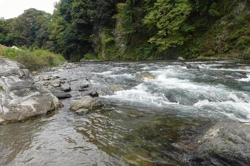 多摩川の写真