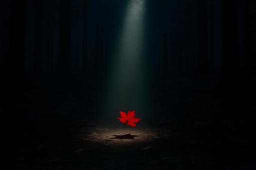 光芒に舞う紅葉の写真