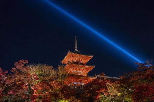 清水寺　紅葉　ライトアップ 紅葉,京都,清水寺の写真素材