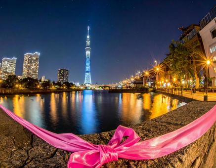 横浜の夜景 withピンクリボン 横浜の夜景 withピンクリボンの写真