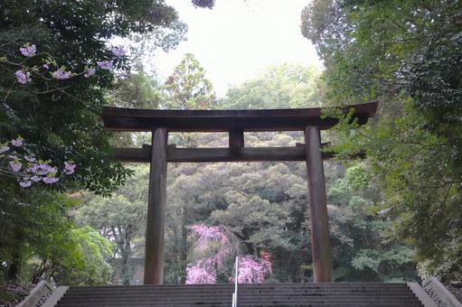 近江神宮 二の鳥居 近江神宮 二の鳥居の写真