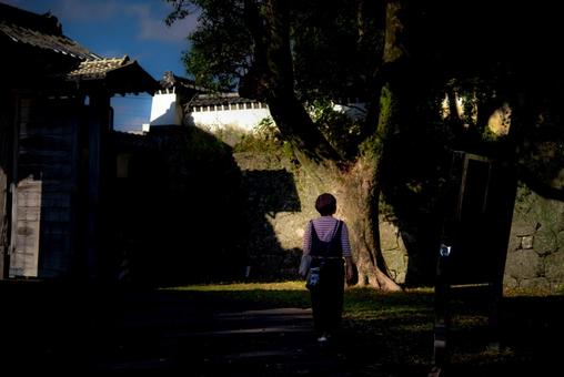 ＜素材＞石田城の城跡を散策する女性 女性,城,城壁の写真素材