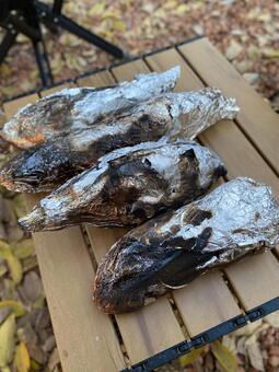 キャンプで焼き芋 キャンプ,オートキャンプ,秋の写真素材