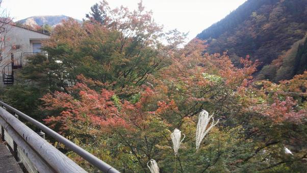 静岡県・梅ヶ島温泉の写真