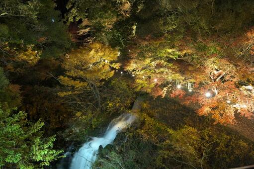宮崎県三股町の長田峡の紅葉ライトアップ 宮崎県,三股町,長田峡の写真素材