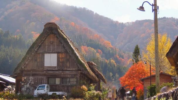 白川郷 白川郷,世界遺産,茅葺きの写真素材