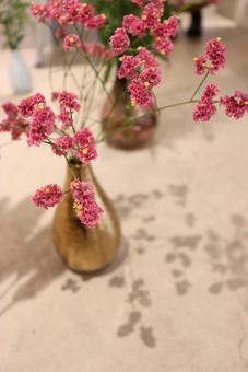 花 花の写真