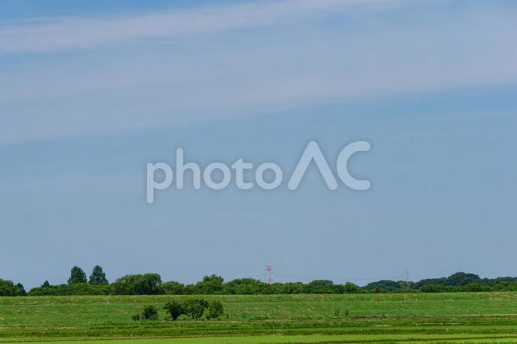 初夏の田園風景 田んぼ,畑,田園の写真素材