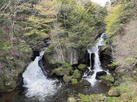 竜頭の滝 竜頭の滝 竜頭の滝,栃木,日光の写真素材