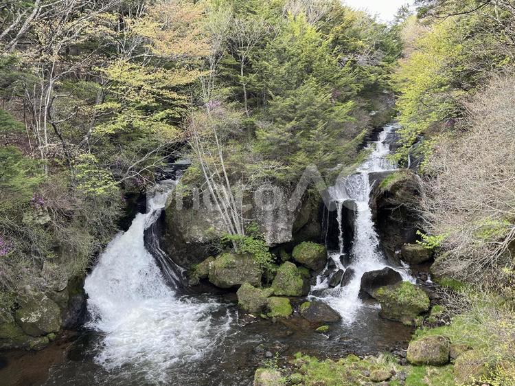 竜頭の滝 竜頭の滝,栃木,日光の写真素材