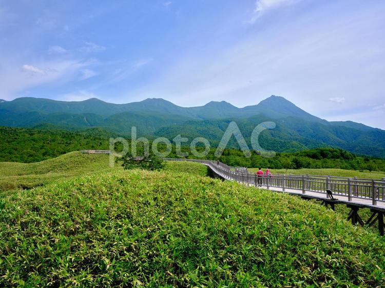 知床連山 知床国立公園,知床連山,知床の写真素材