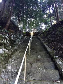 森の光に向かって続く石段 森の光に向かって続く石段 石段,階段,参道の写真素材