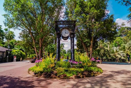 【シンガポール】植物園オーキッドガーデン ナショナル,オーキッドガーデン,ガーデンの写真素材