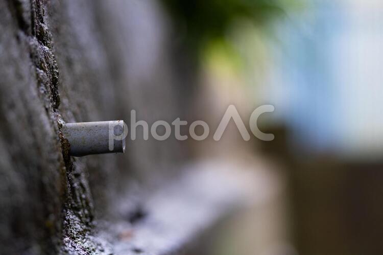 コンクリートの壁面に出ている塩ビ管 排水,塩ビ管,塩ビパイプの写真素材