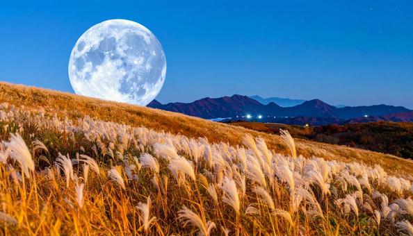 秋の十五夜のお月見　中秋の名月とすすきの写真