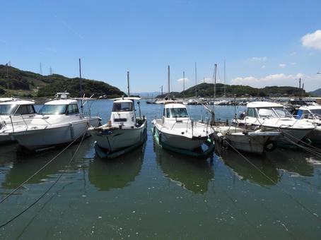笠岡市　美の浜港 岡山県,美の浜港,十一番町緑道の写真素材