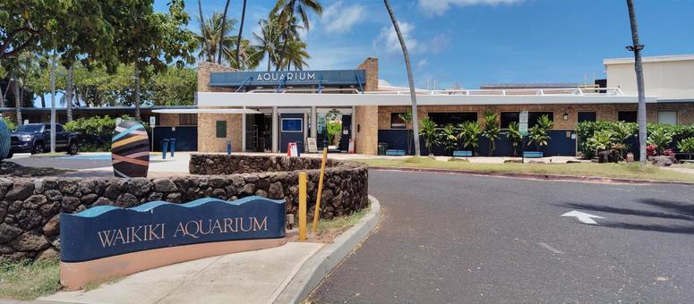 ワイキキ水族館のエントランス ワイキキ水族館のエントランス waikikiaquarium,ワイキキ水族館,水族館の写真素材