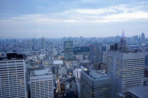 高層ビル群と都市の夜明け 高層ビル群と都市の夜明け 東京,新宿,夜明けの写真素材