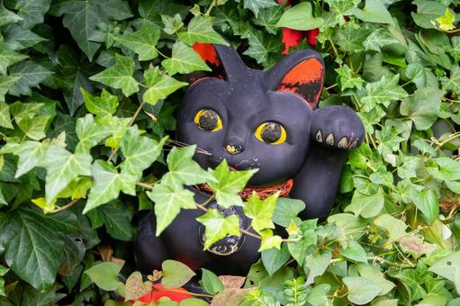 黒い招き猫 招き猫,縁結び,幸運の写真素材