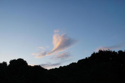 夕方の空 夕方の空 夕方,空,雲の写真素材