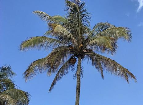 気持ちのいい夏 空,天空,青空の写真素材