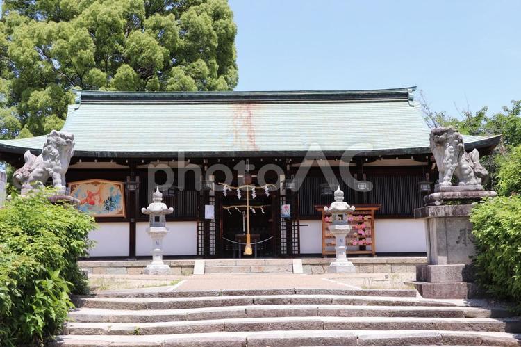 柳沢神社　拝殿 柳沢神社,拝殿,やなぎさわじんじゃの写真素材
