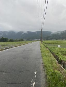 Photo, paddy field, the countryside, cloudy, 