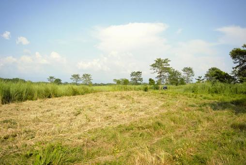 チトワン国立公園 ネパール 3 チトワン国立公園 ネパール 3 チトワン,国立公園,ネパールの写真素材