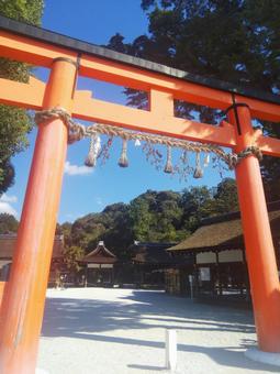 京都 上賀茂神社 鳥居 建物 風景  京都,上賀茂神社,境内の写真素材