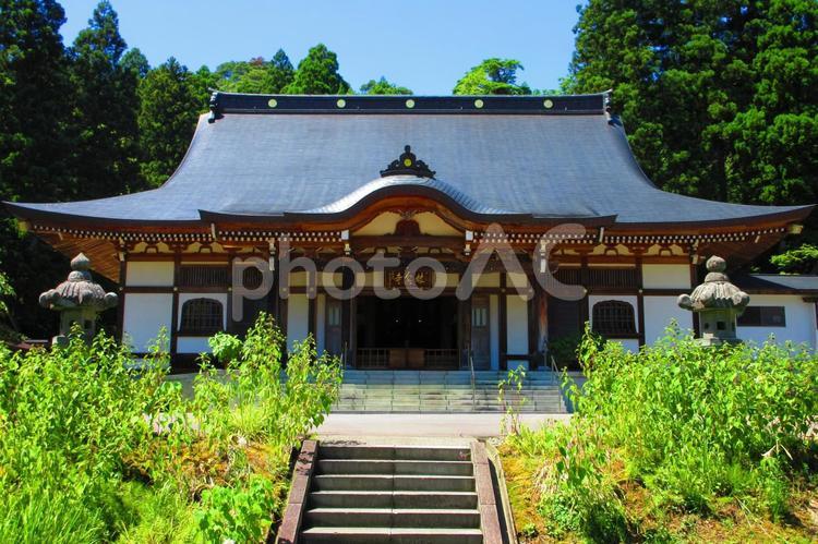 新潟県-林泉寺-本堂と参道 林泉寺,寺,春日山の写真素材