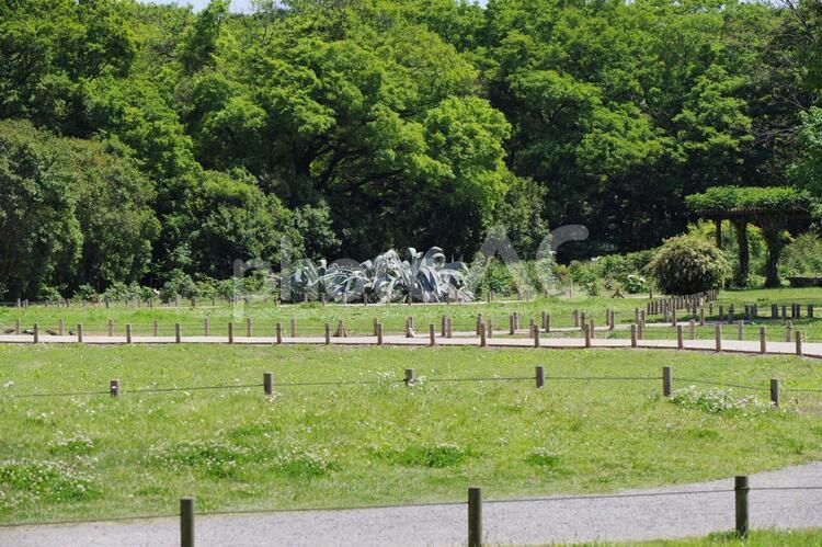 浜離宮恩賜庭園の風景 浜離宮恩賜庭園,庭園,風景の写真素材
