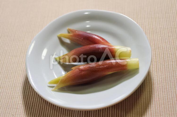 茗荷 茗荷,薬味,食材の写真素材