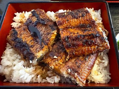 うなぎ丼 うなぎ,蒲焼,うな重の写真素材