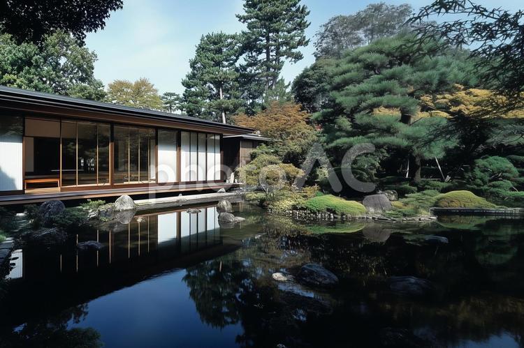 日本家屋 日本家屋,庭,和風の写真素材