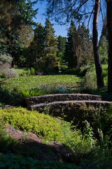 植物園の中の小橋 バンデュ-セン植物園 植物園の中の小橋 バンデュ-セン植物園 小橋,バンデュ-セン植物園,バンク-バ-の写真素材