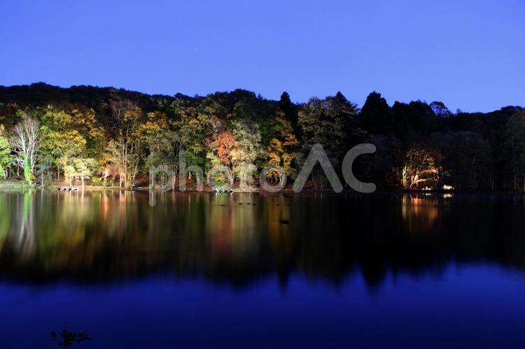 美しい八郎沼公園のライトアップ紅葉 秋,空,反射の写真素材